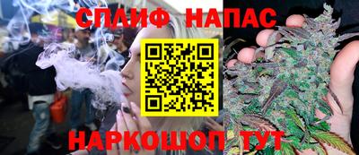 Альфа ПВП Можга