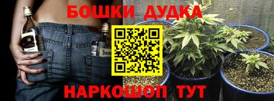 Альфа ПВП Можга