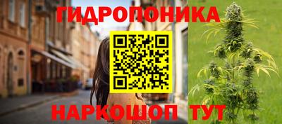прущие крисы Можайск